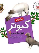 چرا خدا چنین کرد (کبوتر)