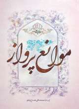 موانع پرواز