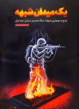 یک میدان شبهه