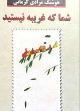 شما که غریبه نیستید