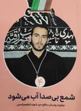 شمع بی صدا آب می شود