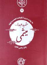 نیمه پنهان ماه 11 - شهید عبدالله میثمی