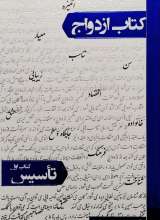 ازدواج (جلد اول: تاسیس)