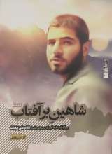 شاهین بر آفتاب