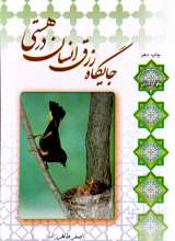 جایگاه رزق انسان در هستی