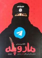 مار و پله