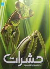 دانشنامه مصور حشرات