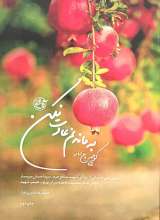 کوچه باغ انار! به ماندنم عادت نکن