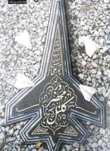 در محضر کلنل