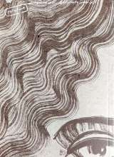 وطن فقط یک سرزمین نیست