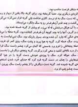 تصاویر بیشتر کتاب گربه ای که شبیه هیچ گربه ی دیگری نبود