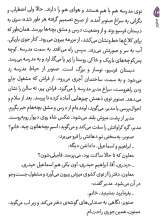 تصاویر بیشتر کتاب صنوبر (مرد میدان 3)