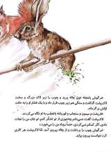 تصاویر بیشتر کتاب اگر این چوب مال من بود