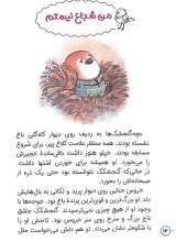 تصاویر بیشتر کتاب گنجشکک و حوض آرزو ها