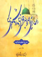 رساترین دادخواهی و روشنگری - شرح خطبه فدکیه: جلد 2