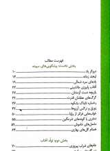 تصاویر بیشتر کتاب سوار سبز پوش آرزوها