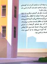 تصاویر بیشتر کتاب گربه ای که شبیه هیچ گربه ی دیگری نبود