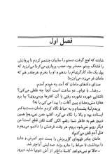 تصاویر بیشتر کتاب زمستان بی شازده