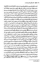 تصاویر بیشتر کتاب تا ابد زندگی - جلد دوازدهم: امام در قیامت