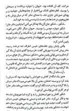تصاویر بیشتر کتاب آشیانه در مه