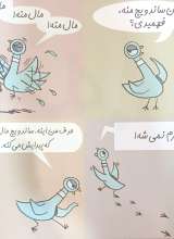 تصاویر بیشتر کتاب کبوتر ساندویچ پیدا می کند!