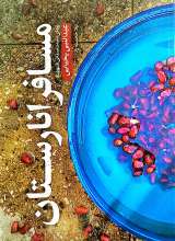 مسافر انارستان