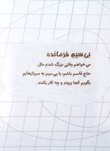 تصاویر بیشتر کتاب منم می شم یه حاج قاسم