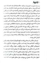 تصاویر بیشتر کتاب اردک دیوانه