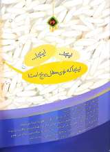 تصاویر بیشتر کتاب مامان قوری بابا سماور و فنجون کوچولو