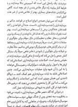 تصاویر بیشتر کتاب چگونه در قرن بیست و یکم ضد سرمایه داری باشیم