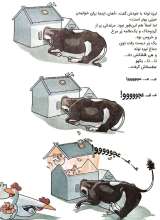 تصاویر بیشتر کتاب لیزه لوته خوابش نمی بره!