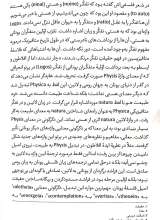 تصاویر بیشتر کتاب نمایش معنا