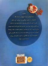 تصاویر بیشتر کتاب ماجرای خانواده آمد (جلد دوم: مربای انار)