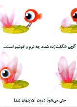 تصاویر بیشتر کتاب برکه بچه قورباغه ها