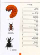 تصاویر بیشتر کتاب دانشنامه مصور حشرات