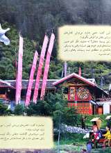 تصاویر بیشتر کتاب در جستجوی پاندا - ماجراجویی های رایلی