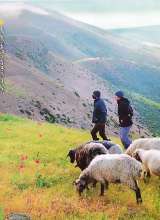 تصاویر بیشتر کتاب مجله همشهری - سرزمین من (شماره پنجم: نگین سبز 14میلیون هکتاری)