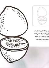 تصاویر بیشتر کتاب آشنایی با میوه ها