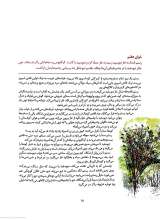 تصاویر بیشتر کتاب هفت خوان رستم + یک پاورقی