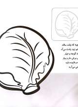 تصاویر بیشتر کتاب آشنایی با سبزیجات