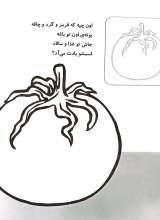 تصاویر بیشتر کتاب آشنایی با سبزیجات