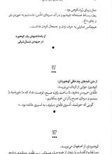 تصاویر بیشتر کتاب یک صعود باورنکردنی