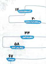 تصاویر بیشتر کتاب گربه های نجات
