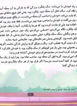 تصاویر بیشتر کتاب گربه ای که شبیه هیچ گربه ی دیگری نبود