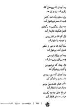 تصاویر بیشتر کتاب سیاه مست سایه تاک