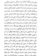 تصاویر بیشتر کتاب مبارزه پیروز