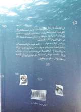 تصاویر بیشتر کتاب دردانه ی کرمان