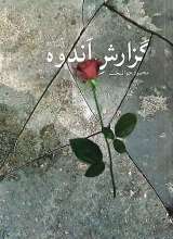 گزارش اندوه