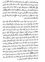 تصاویر بیشتر کتاب تولد دوباره شهر