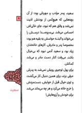 تصاویر بیشتر کتاب سعید (نشر عهد مانا)